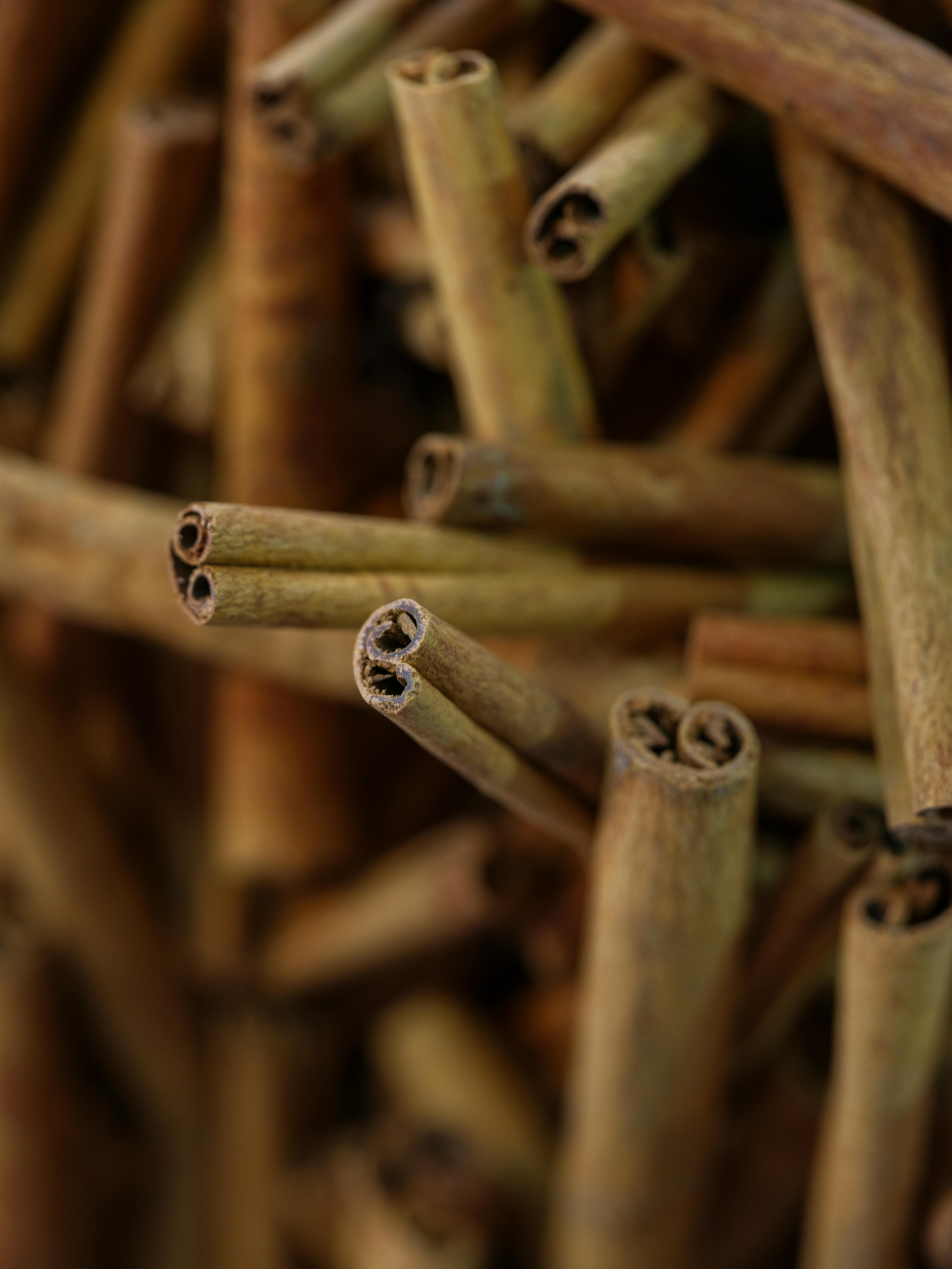 pexels enginakyurt 33654799